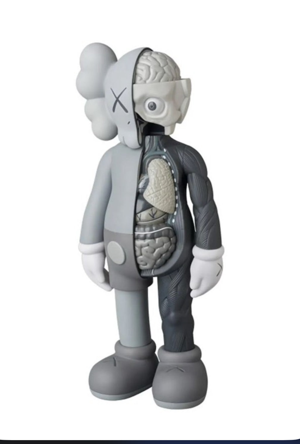 Kaws Companions