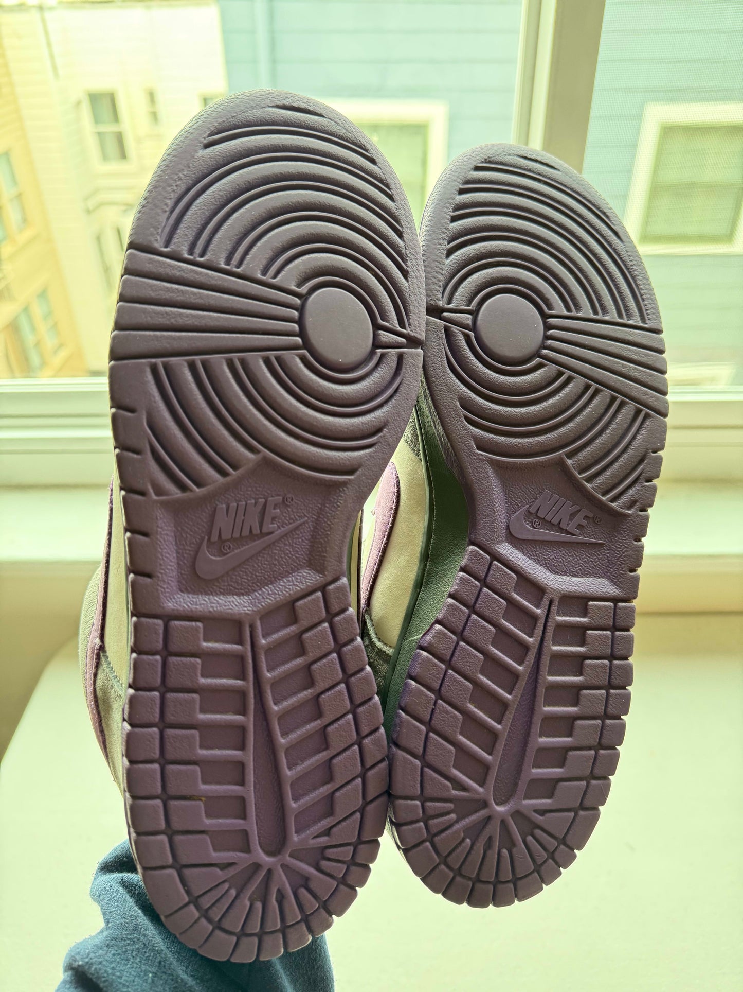 Size 10.5 Preowned (Rep Box) Nike SB Dunk Low Purple Pigeon