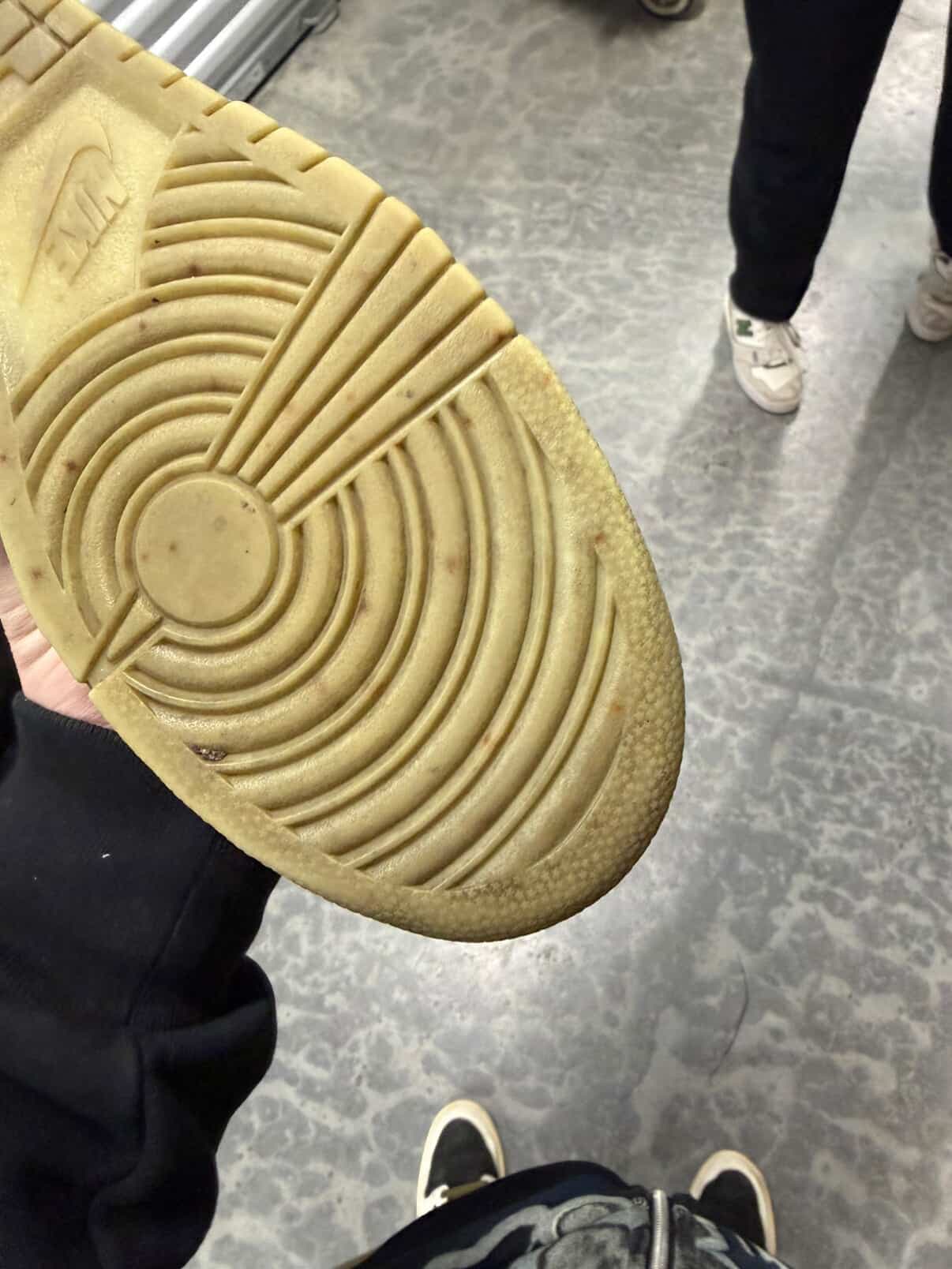 Nike Dunk High Coraline