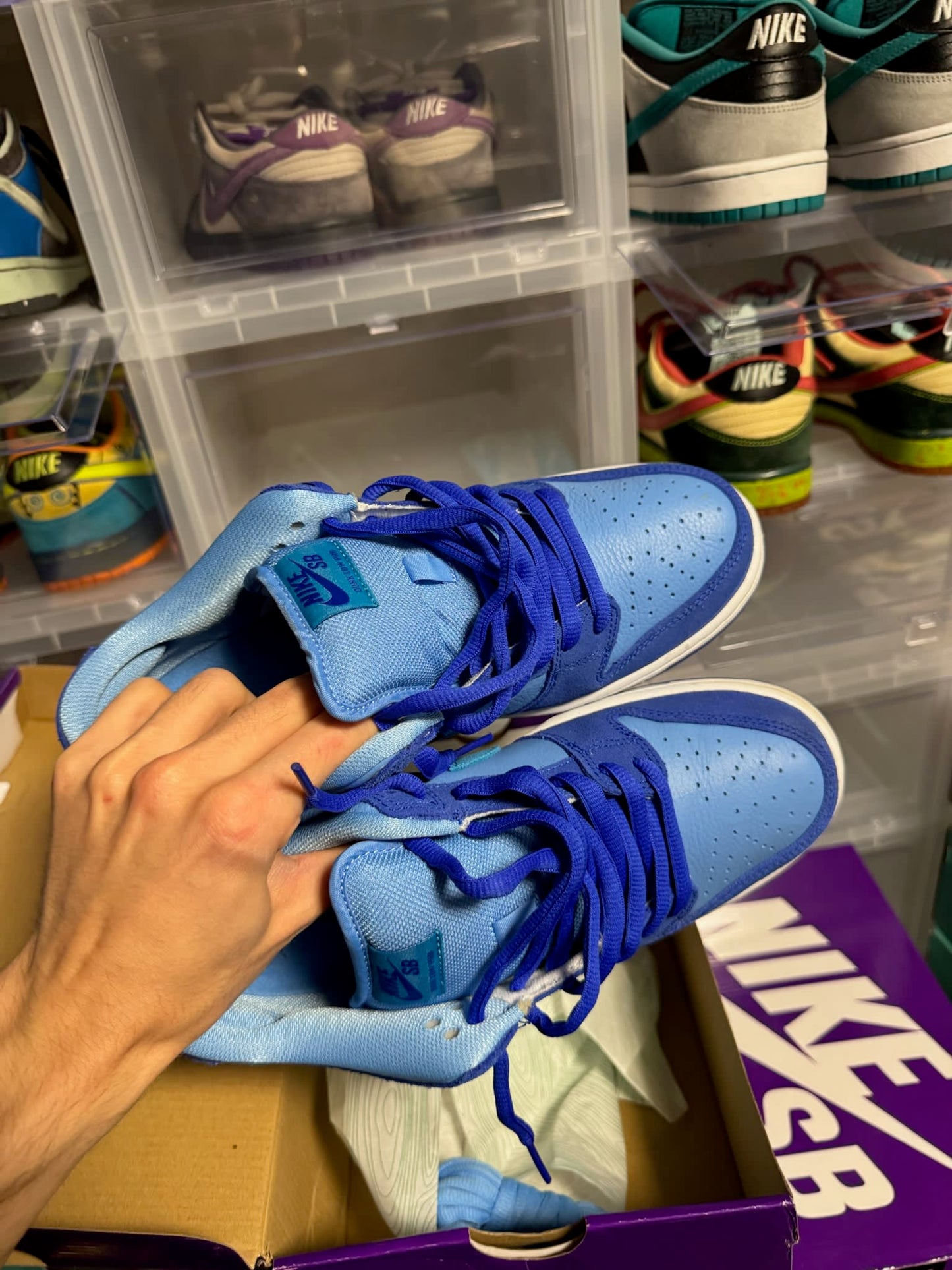 Size 9 Preowned Nike SB Dunk Low Blue Raspberry