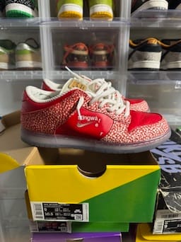 Size 9 Preowned Nike SB Dunk Low Stingwater Magic Mushroom