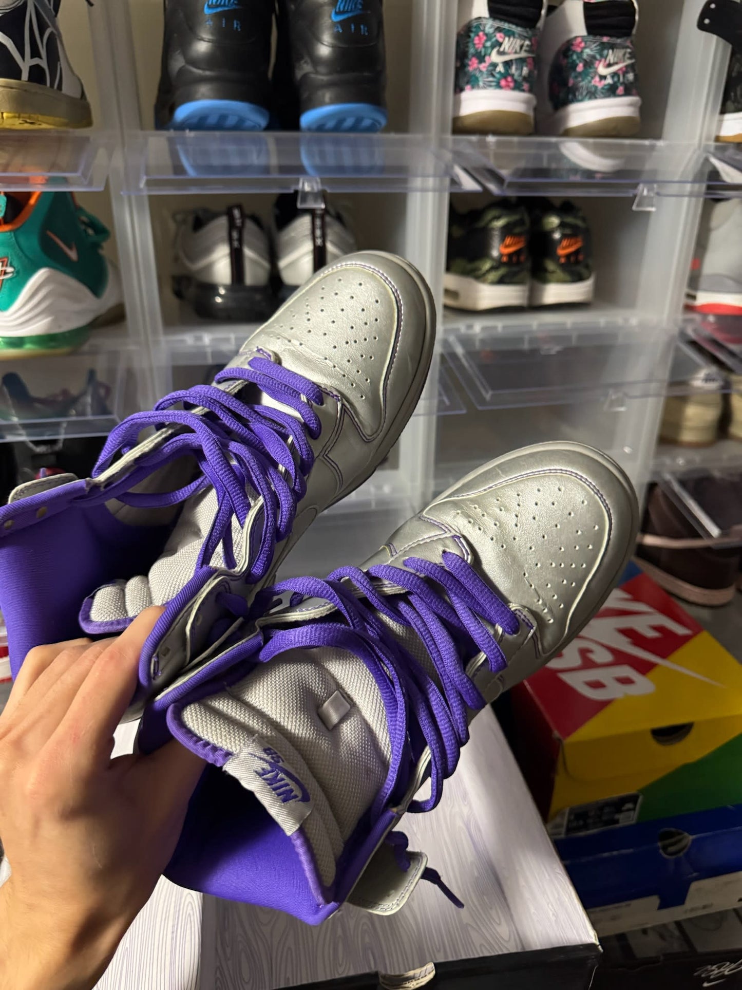Size 9 Preowned Nike SB Dunk High Dinosaur Jr.