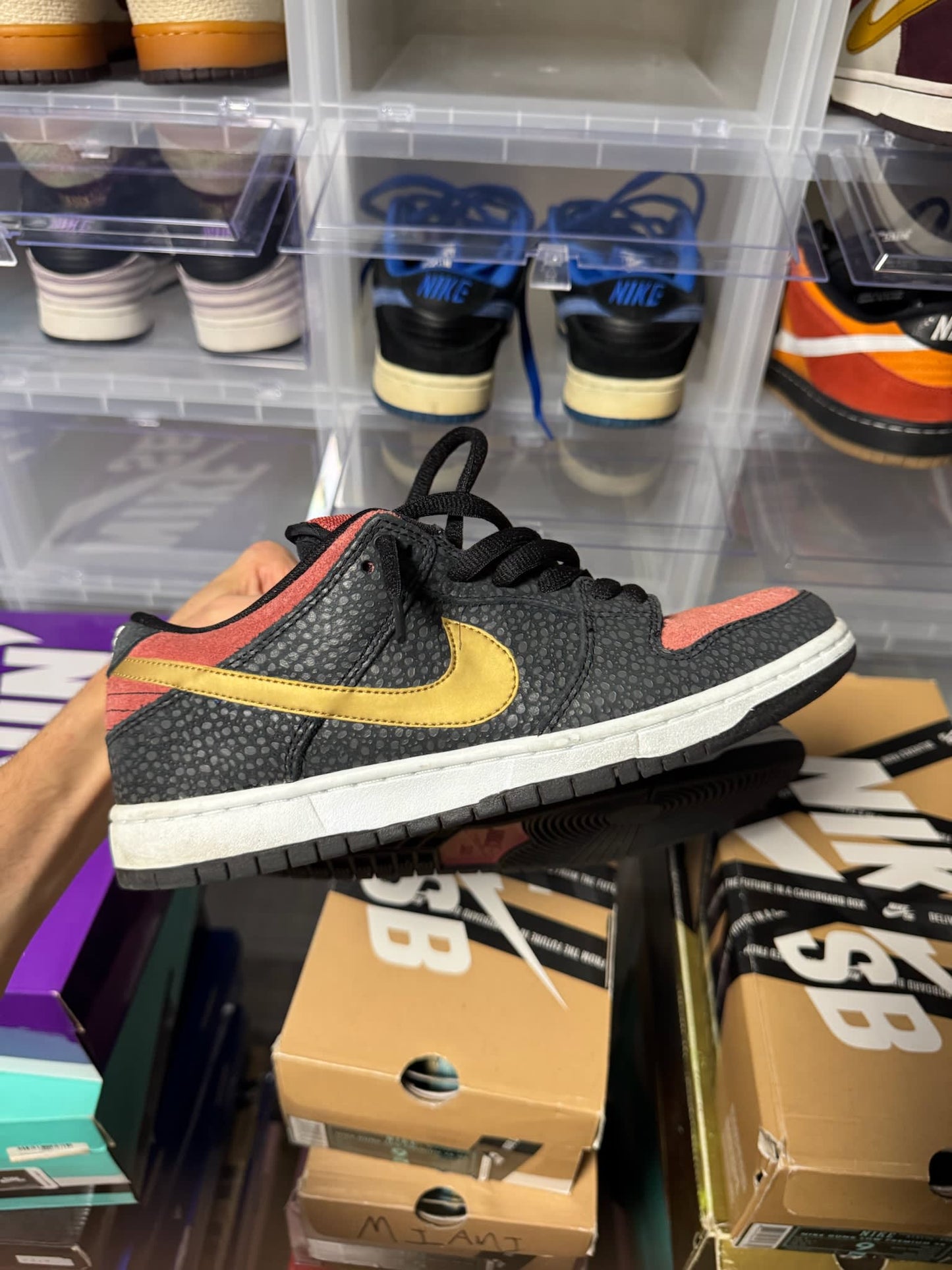 Size 9 Preowned (NB) Nike SB Dunk Low Walk of Fame