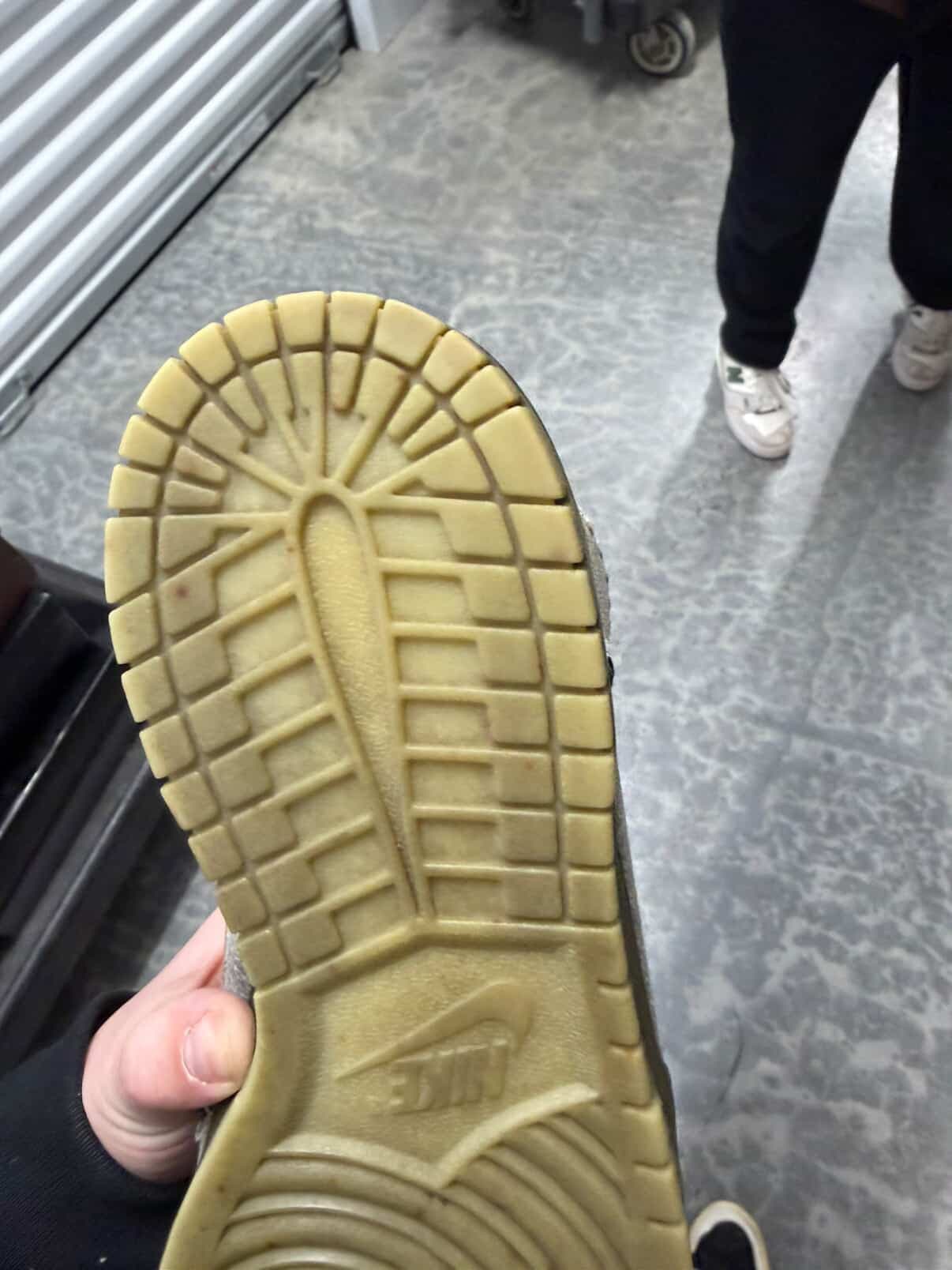 Nike Dunk High Coraline