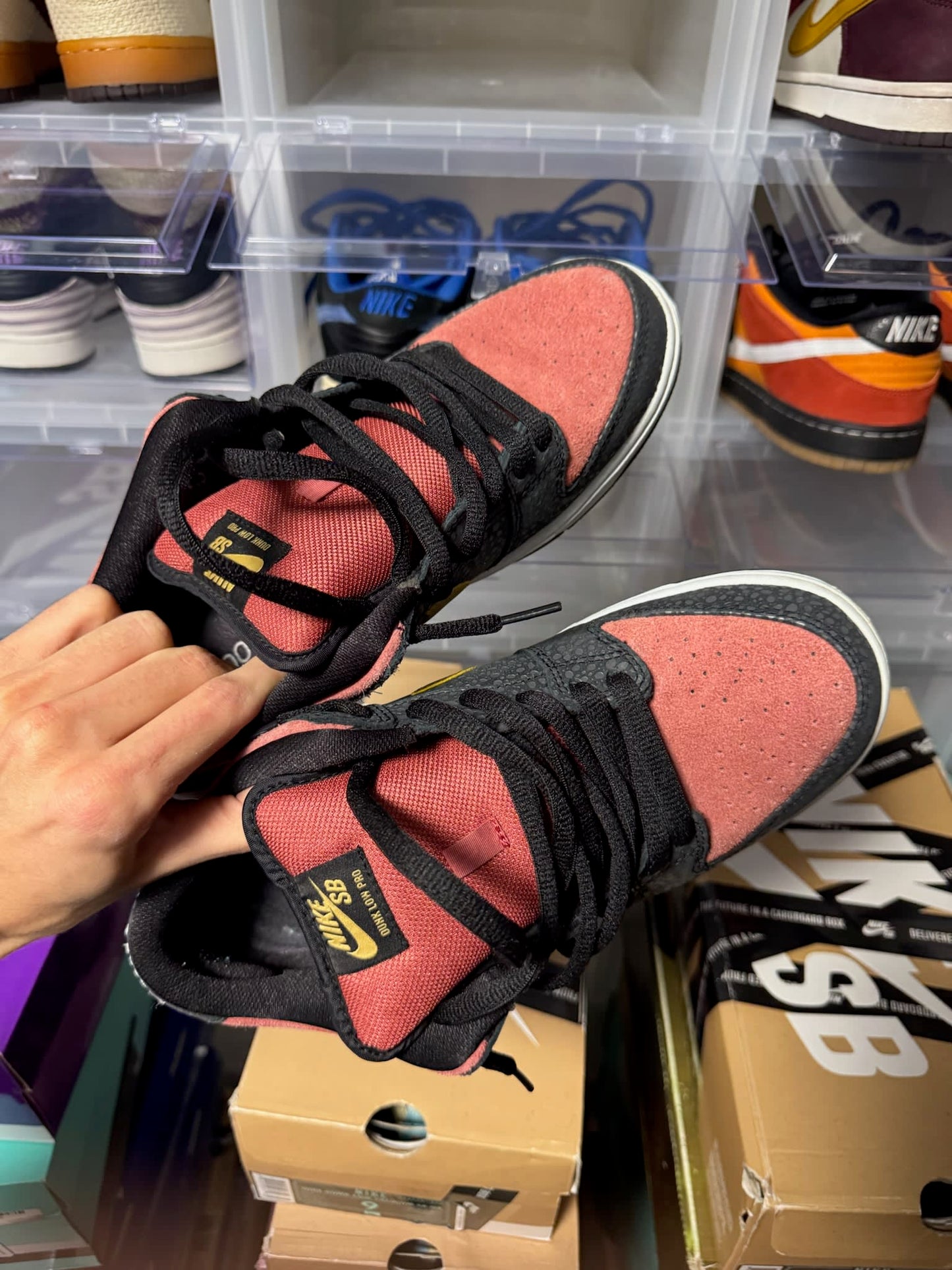 Size 9 Preowned (NB) Nike SB Dunk Low Walk of Fame