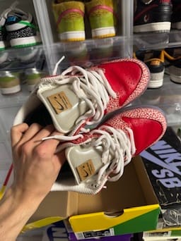 Size 9 Preowned Nike SB Dunk Low Stingwater Magic Mushroom