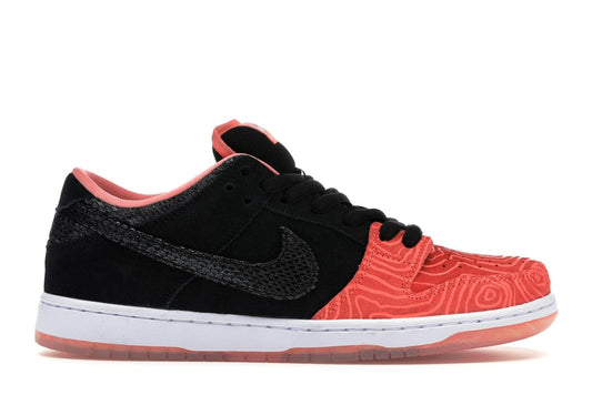 NIKE SB DUNK LOW ‘Fish Ladder’