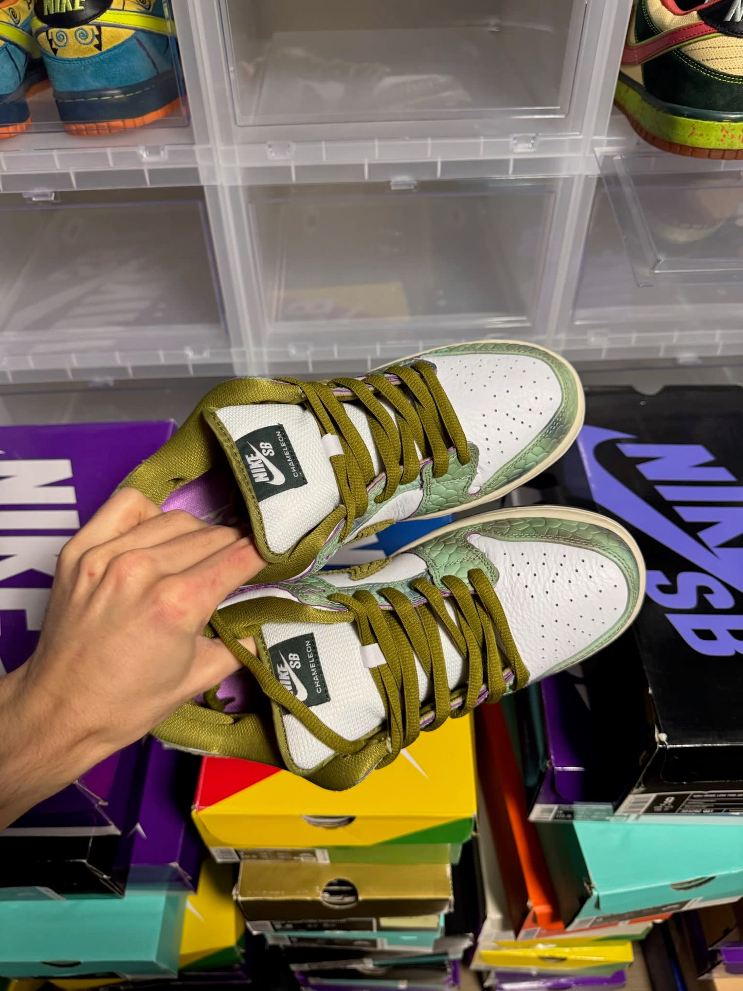 Size 9 Preowned (NB) Nike SB Dunk Low Alexis Sablone Chameleon