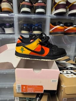 Size 9 Preowned Nike SB Dunk Low Raygun