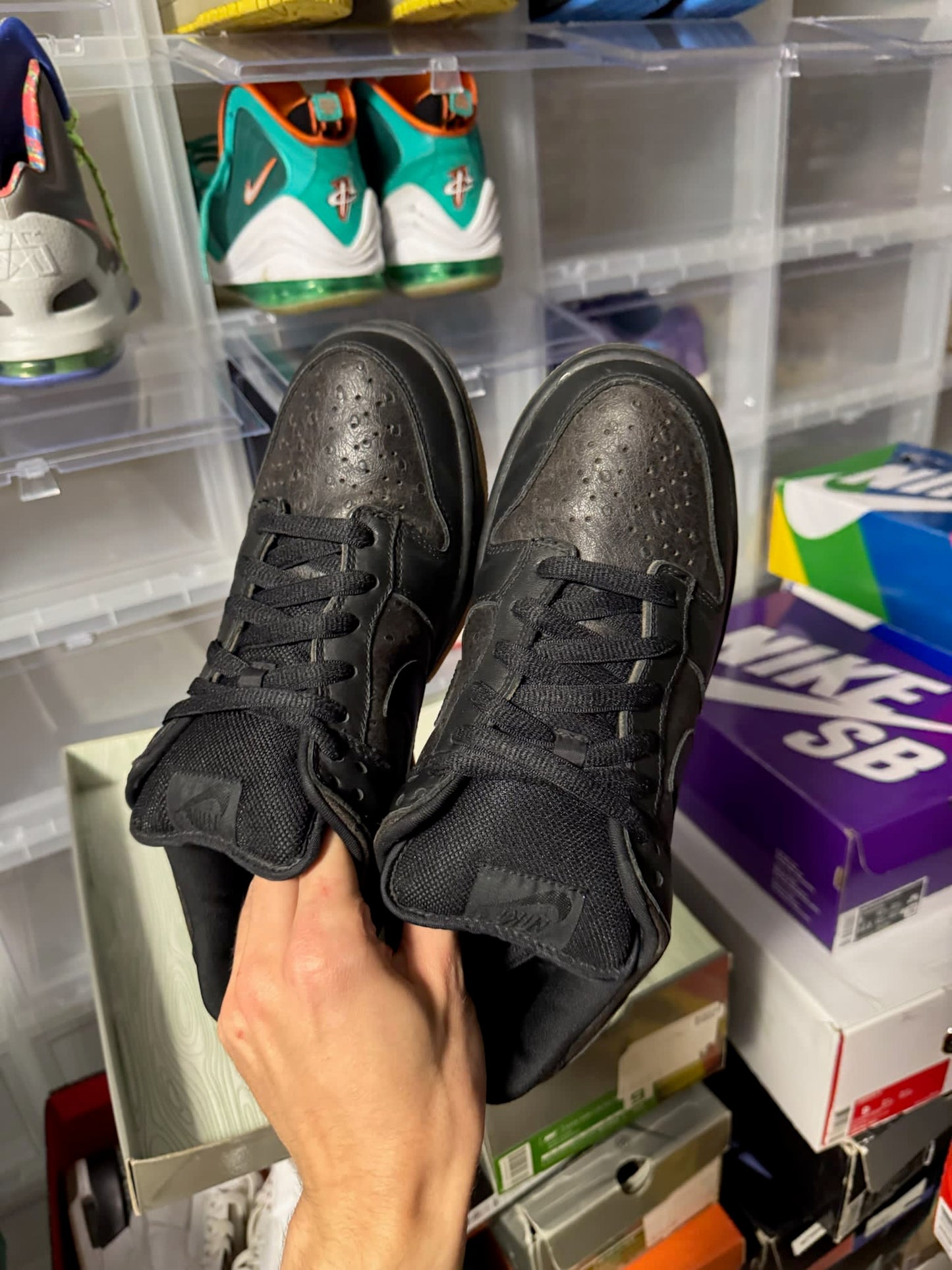 Size 9 Preowned Nike SB Dunk Low Ostrich