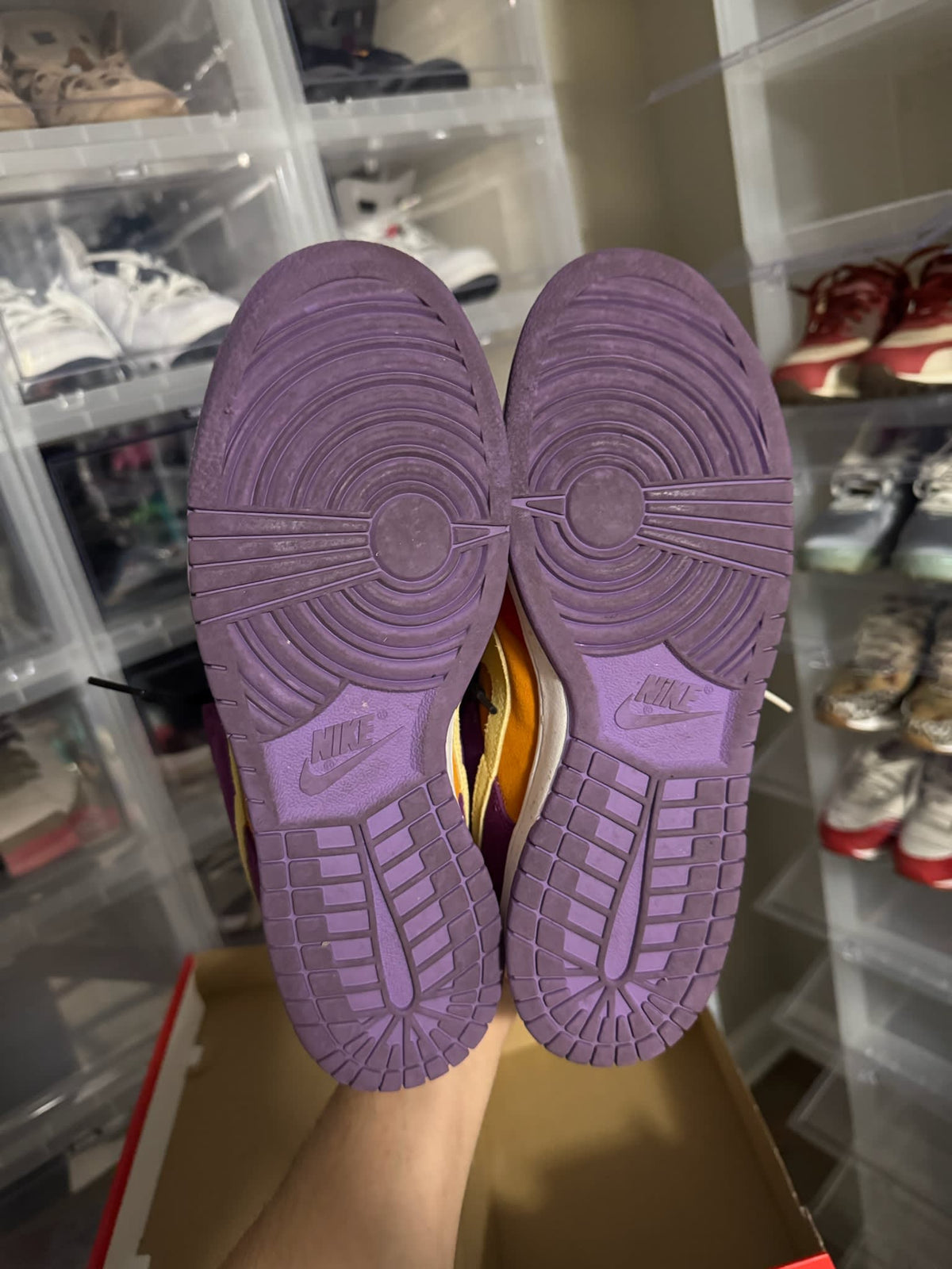[HY826] Nike Dunk Low SP Viotech (2019)