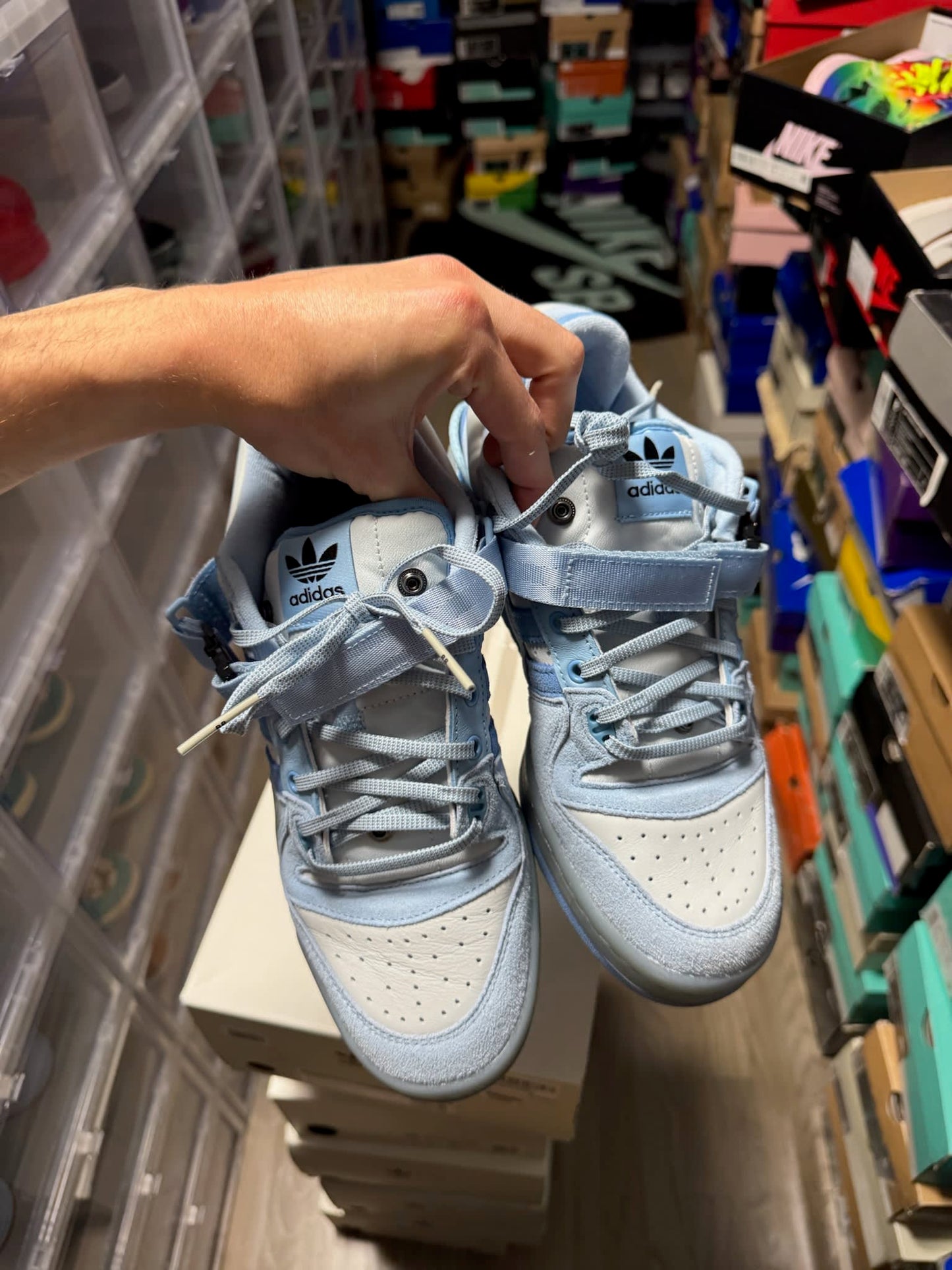 adidas Forum Buckle Low Bad Bunny Blue Tint