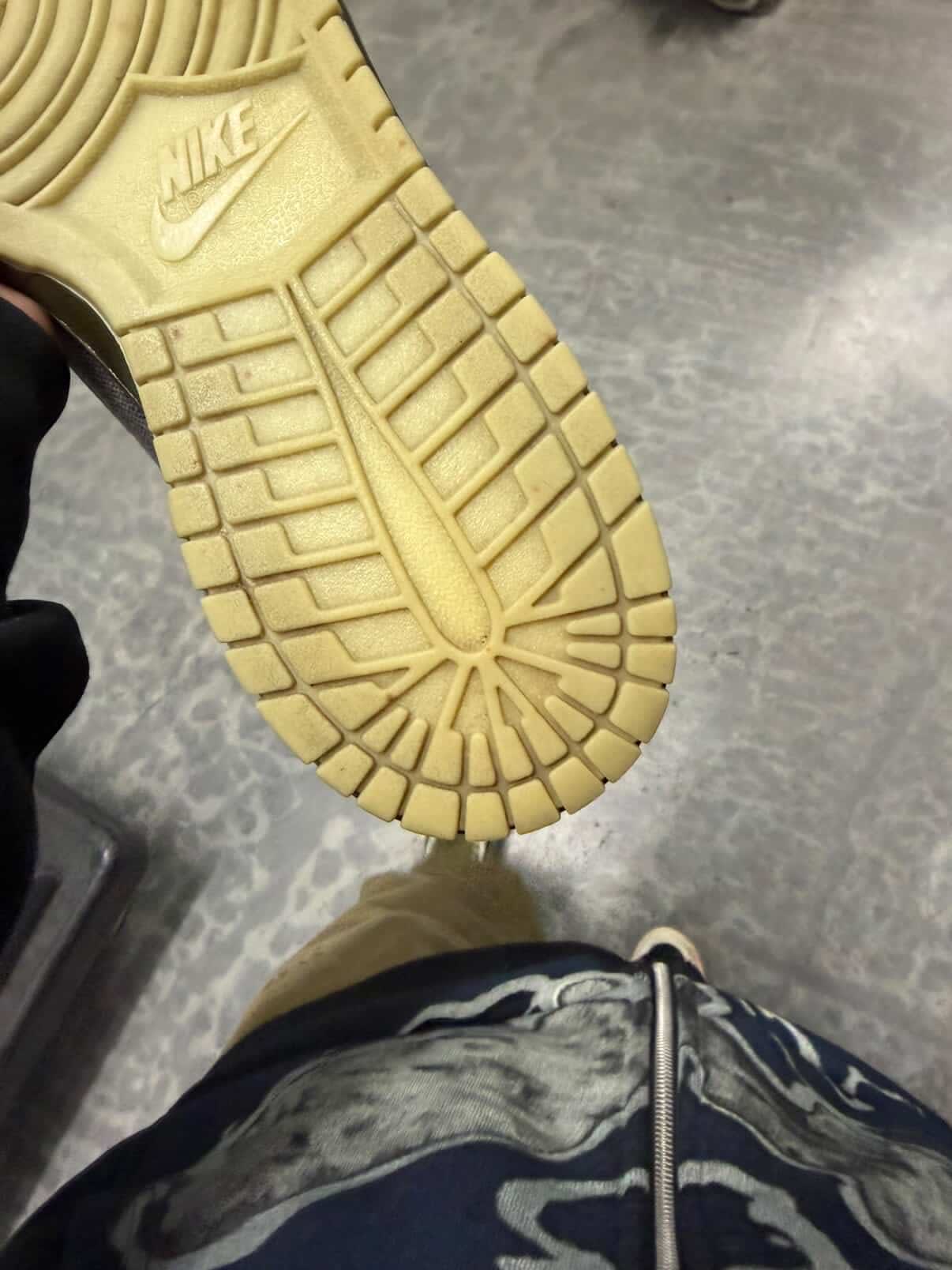 Nike Dunk High Coraline