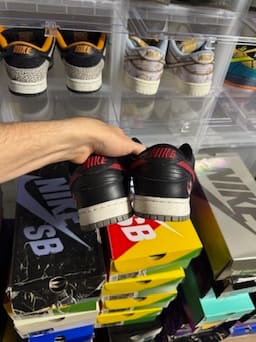 Size 9 Preowned (NB) Nike SB Dunk Low Shrimp