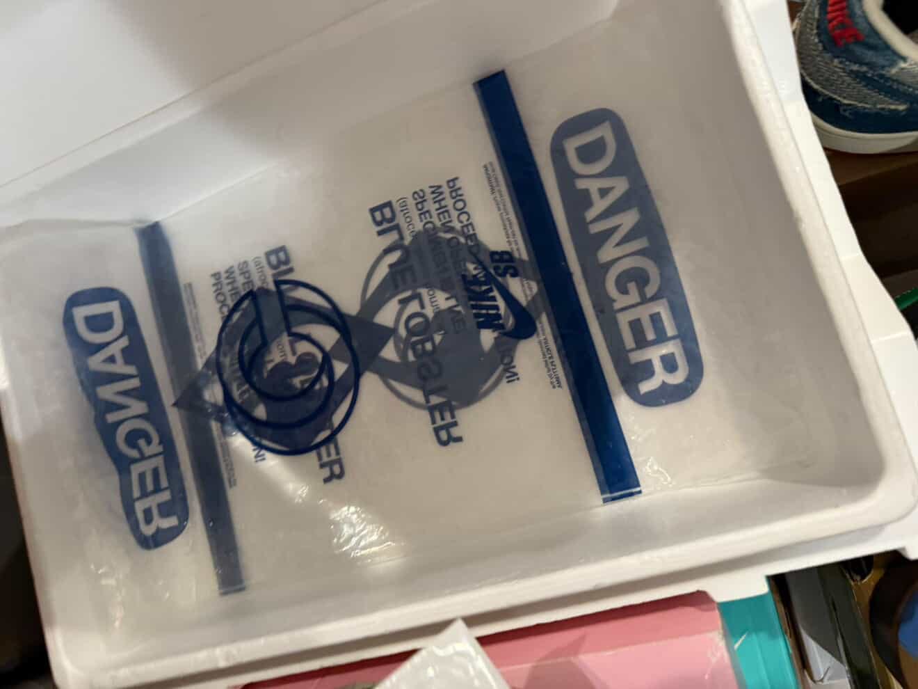 Nike SB Dunk Low Concepts Blue Lobster Special Box