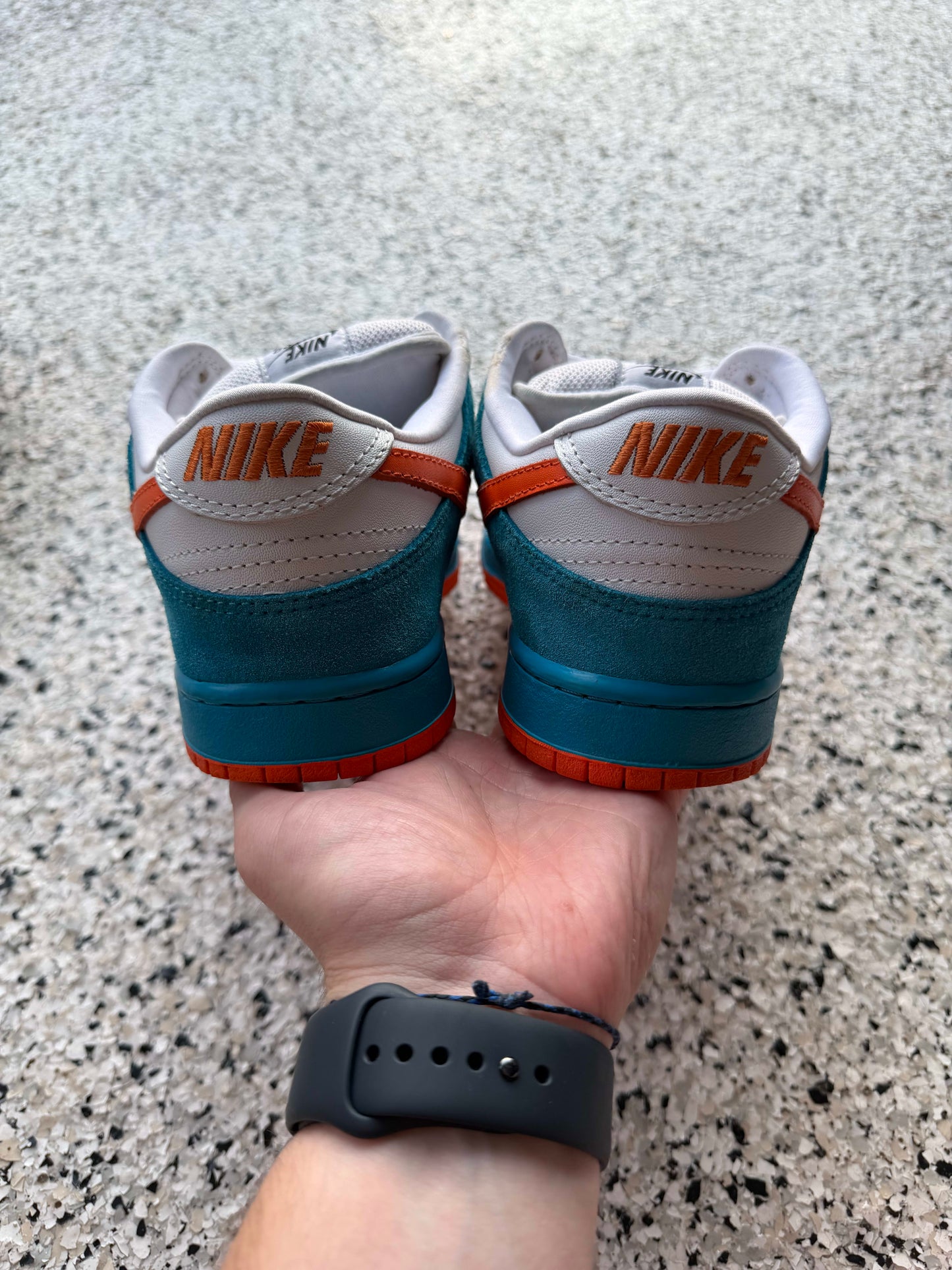 HY3429 Nike SB Dunk Low Pro EMB (2006)