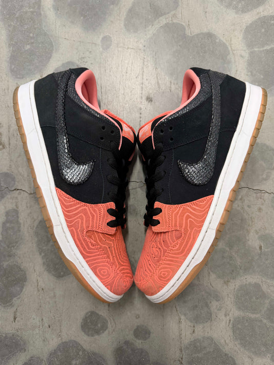 [HY1076] Nike SB Dunk Low Premier Fish Ladder