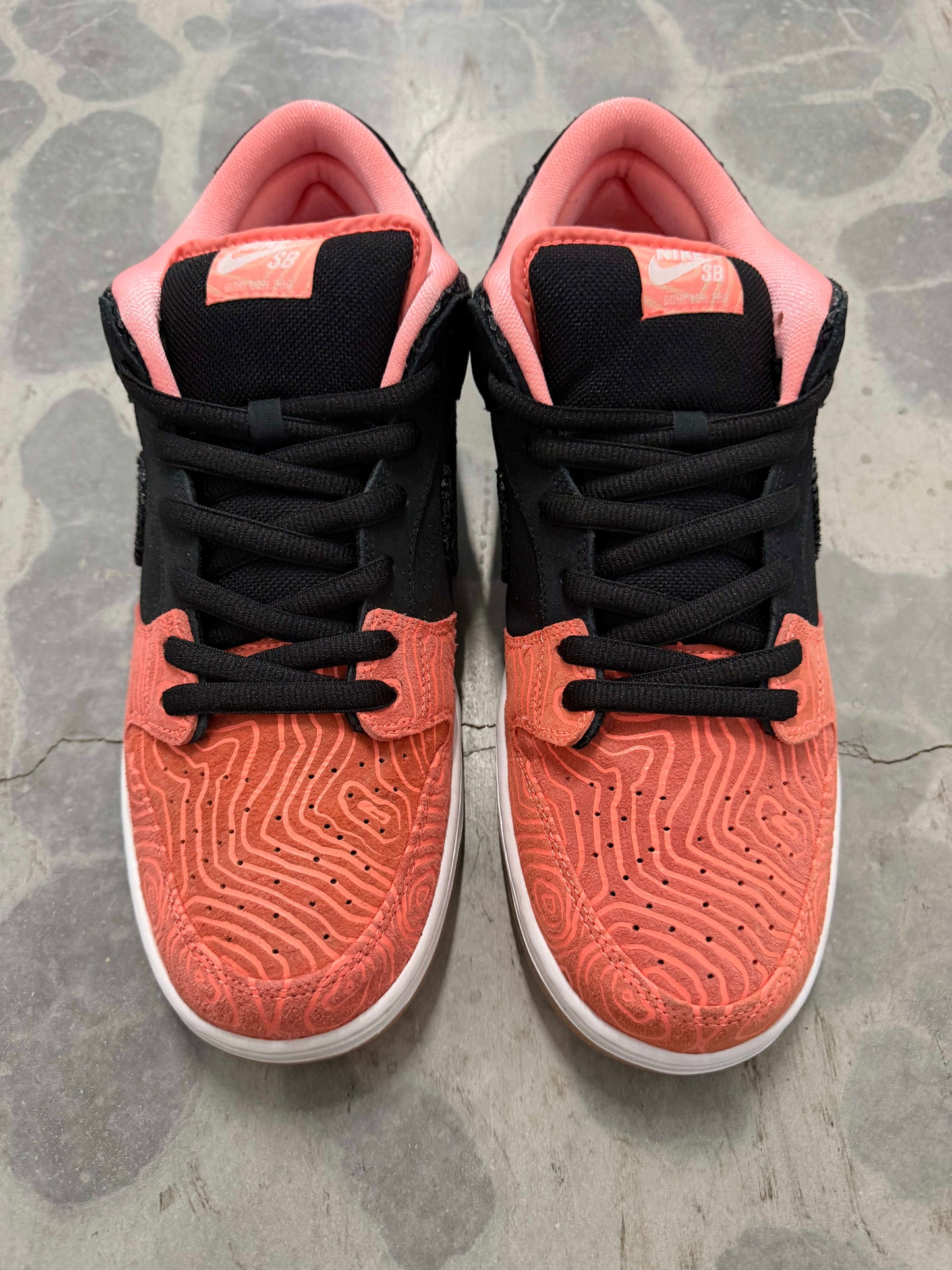 HY1076 Nike SB Dunk Low Premier Fish Ladder