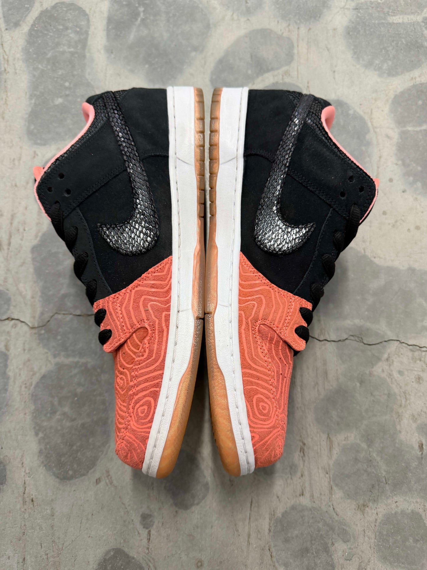 HY1076 Nike SB Dunk Low Premier Fish Ladder