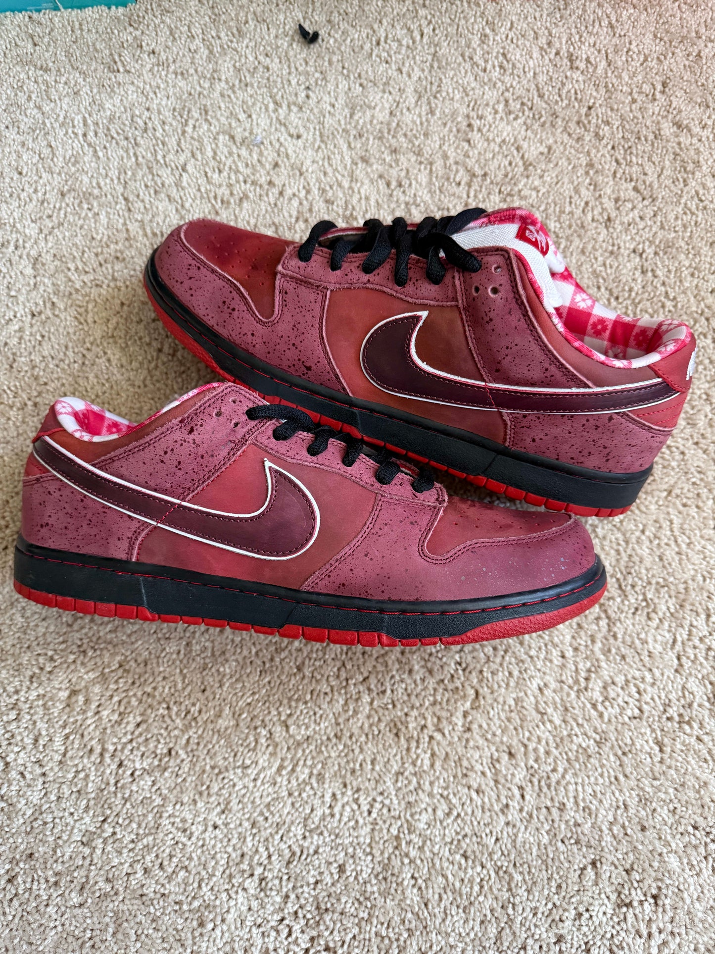 HY1108 Nike SB Dunk Low Concepts Red Lobster (Special Box)