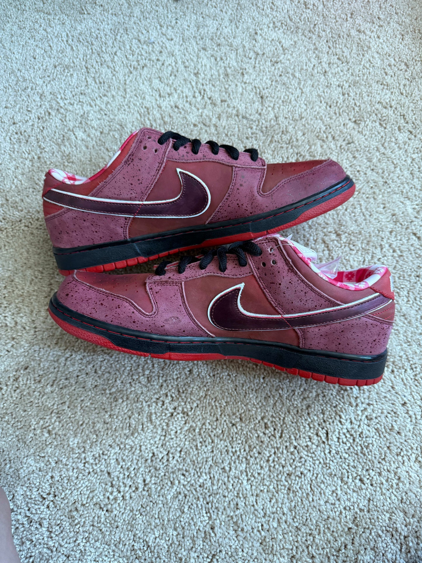 HY1108 Nike SB Dunk Low Concepts Red Lobster (Special Box)