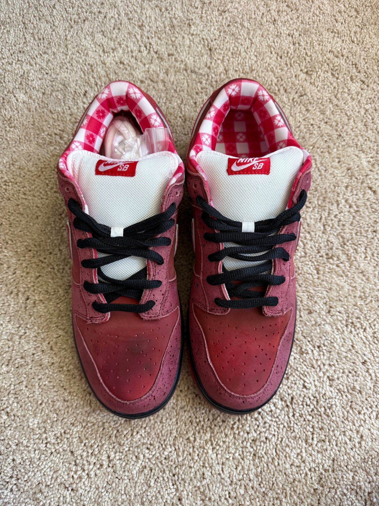HY1108 Nike SB Dunk Low Concepts Red Lobster (Special Box)