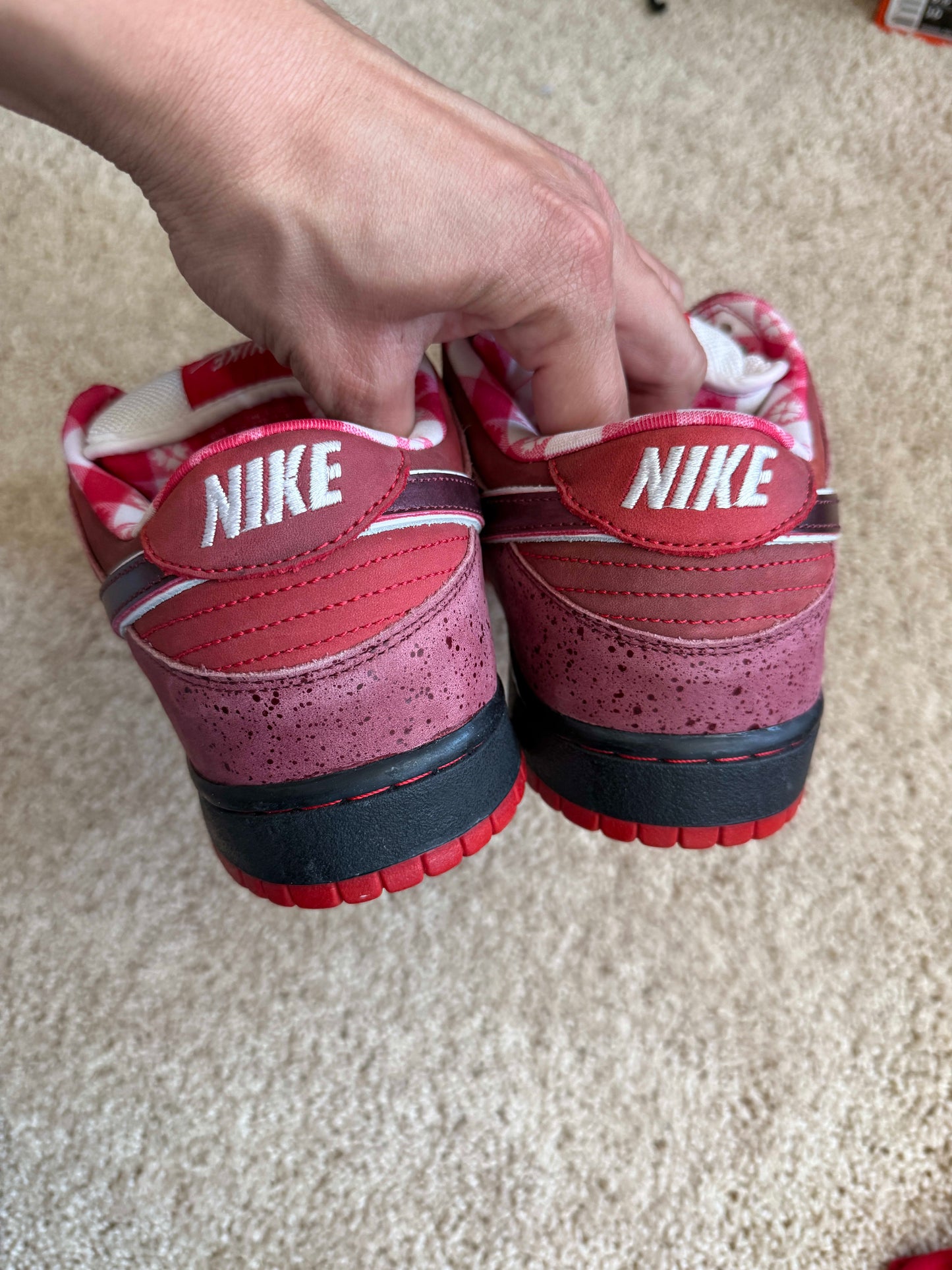 HY1108 Nike SB Dunk Low Concepts Red Lobster (Special Box)