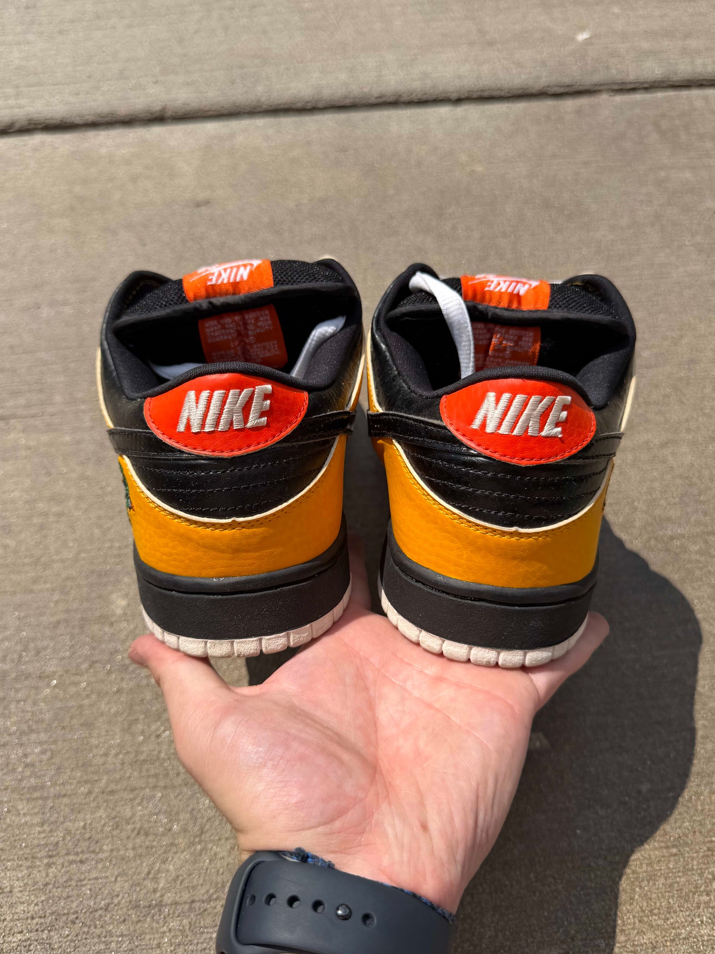 [HY3487] Nike SB Dunk Low Raygun