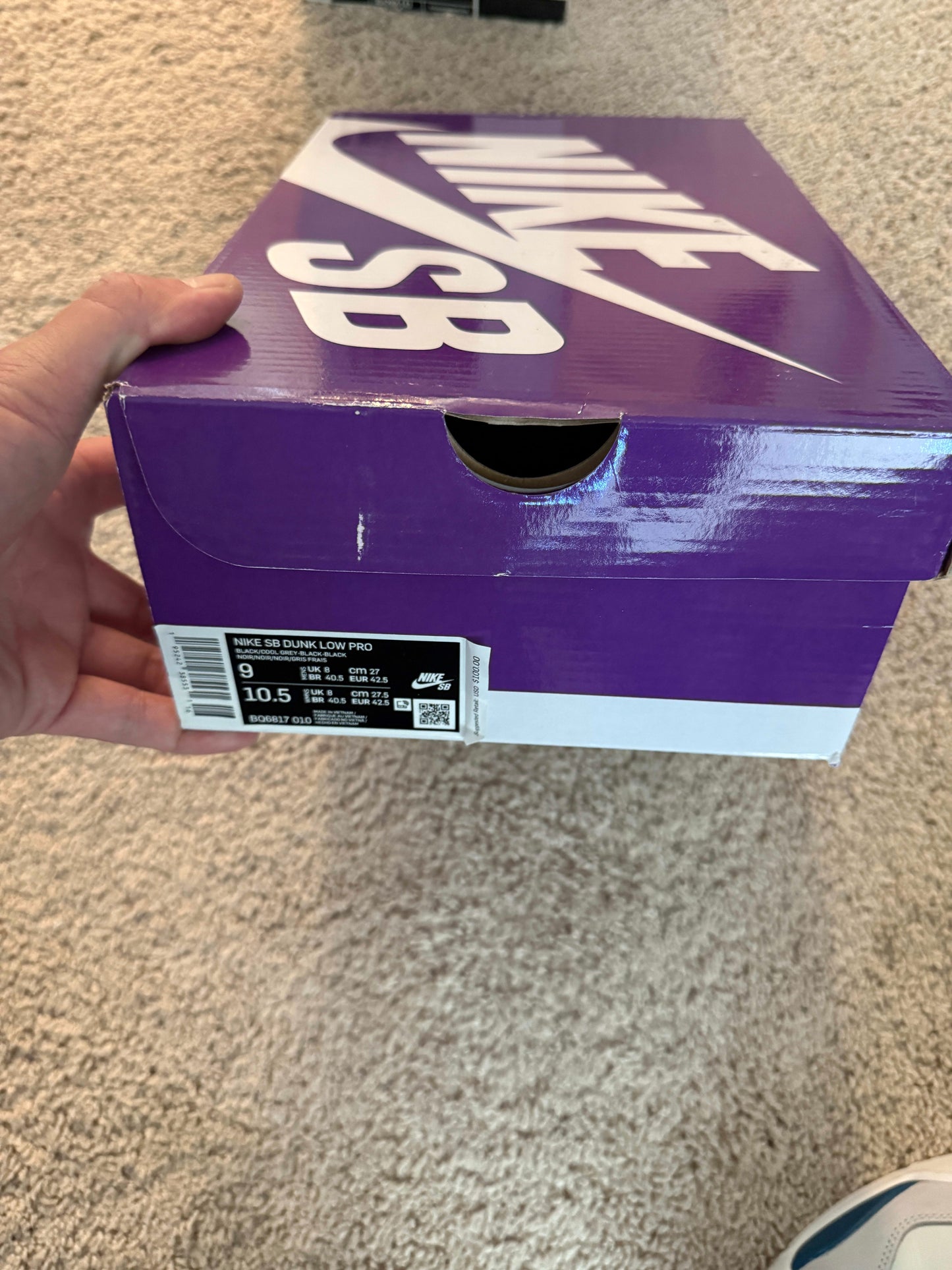 HY957 Nike SB Dunk Low Fog
