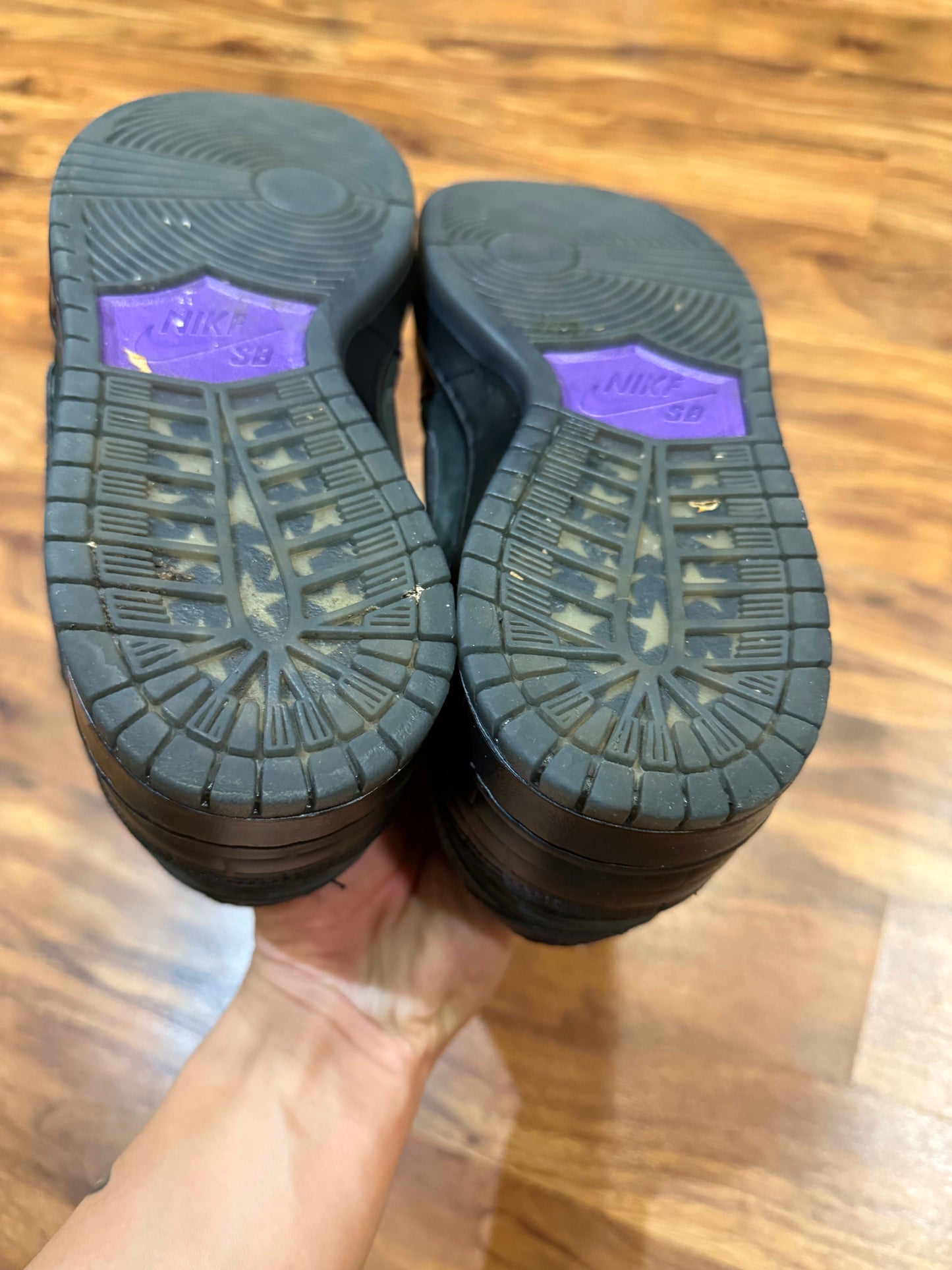 Size 9 Preowned Nike SB Dunk Low Familia First Avenue