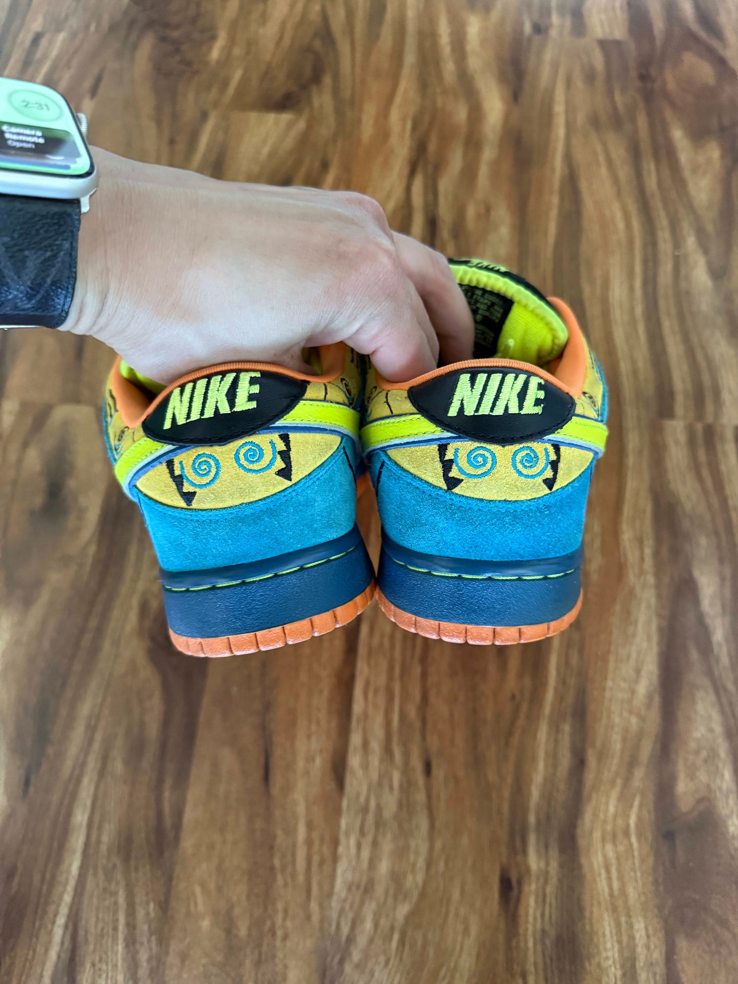 Size 9 Preowned (NB) Nike SB Dunk Low Skate or Die