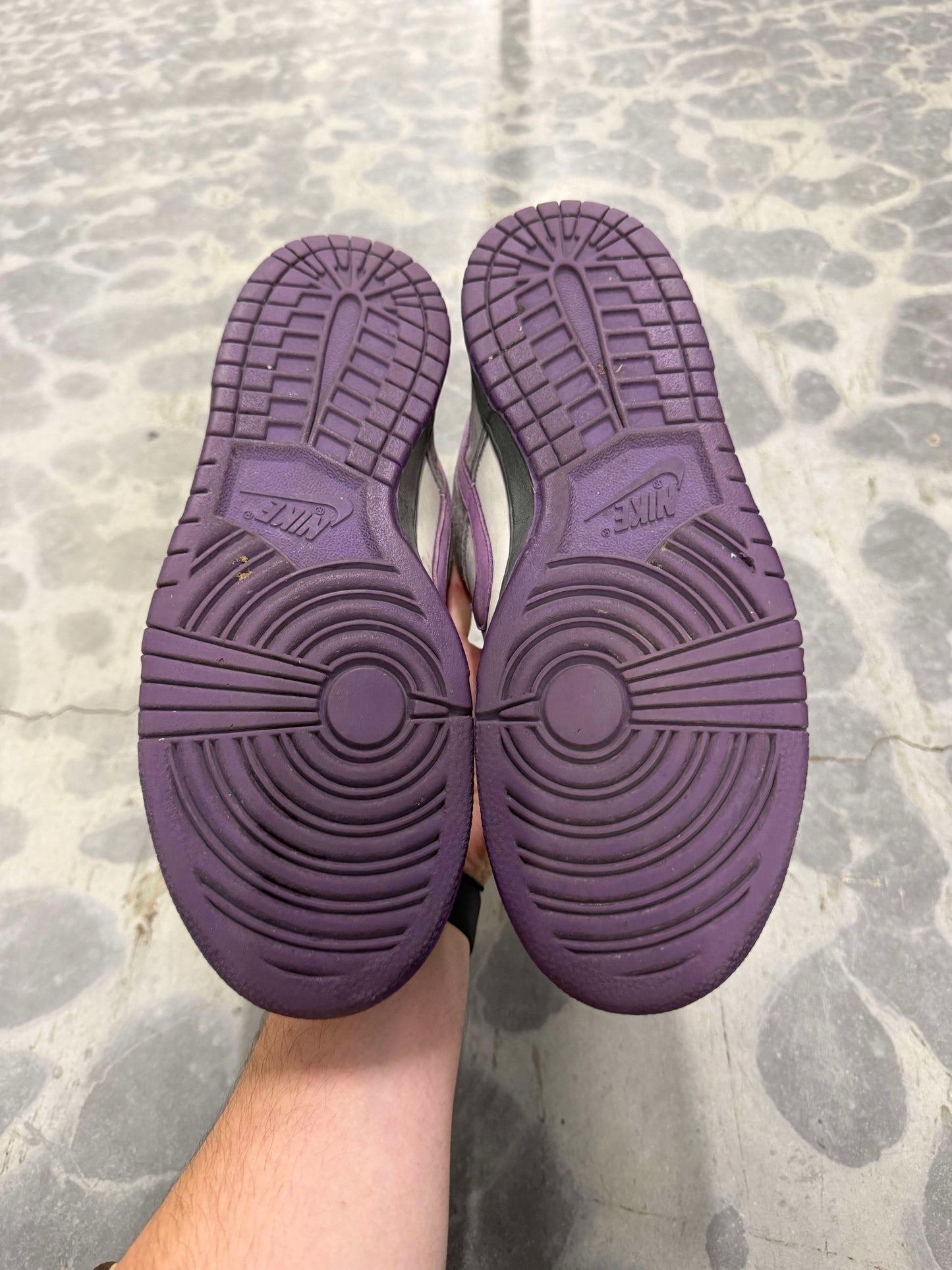 HY2222 Size 9.5 Preowned (NB) Nike SB Dunk Low Purple Pigeon