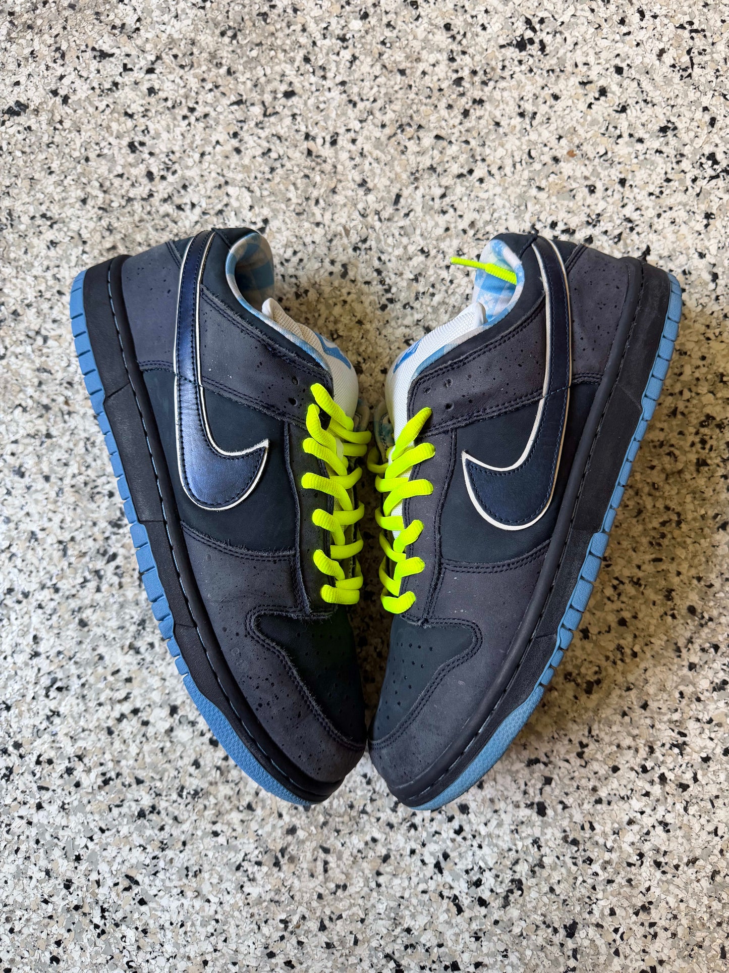 HY3339 Nike SB Dunk Low Concepts Blue Lobster