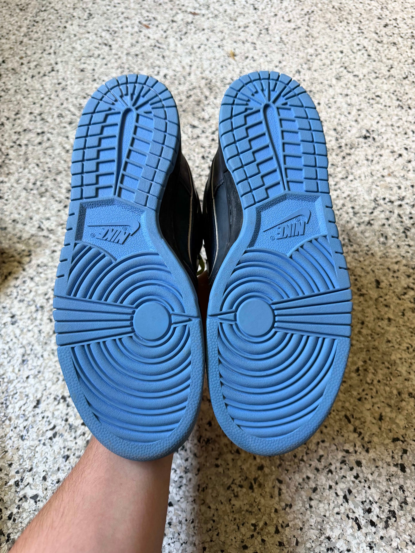 HY3339 Nike SB Dunk Low Concepts Blue Lobster