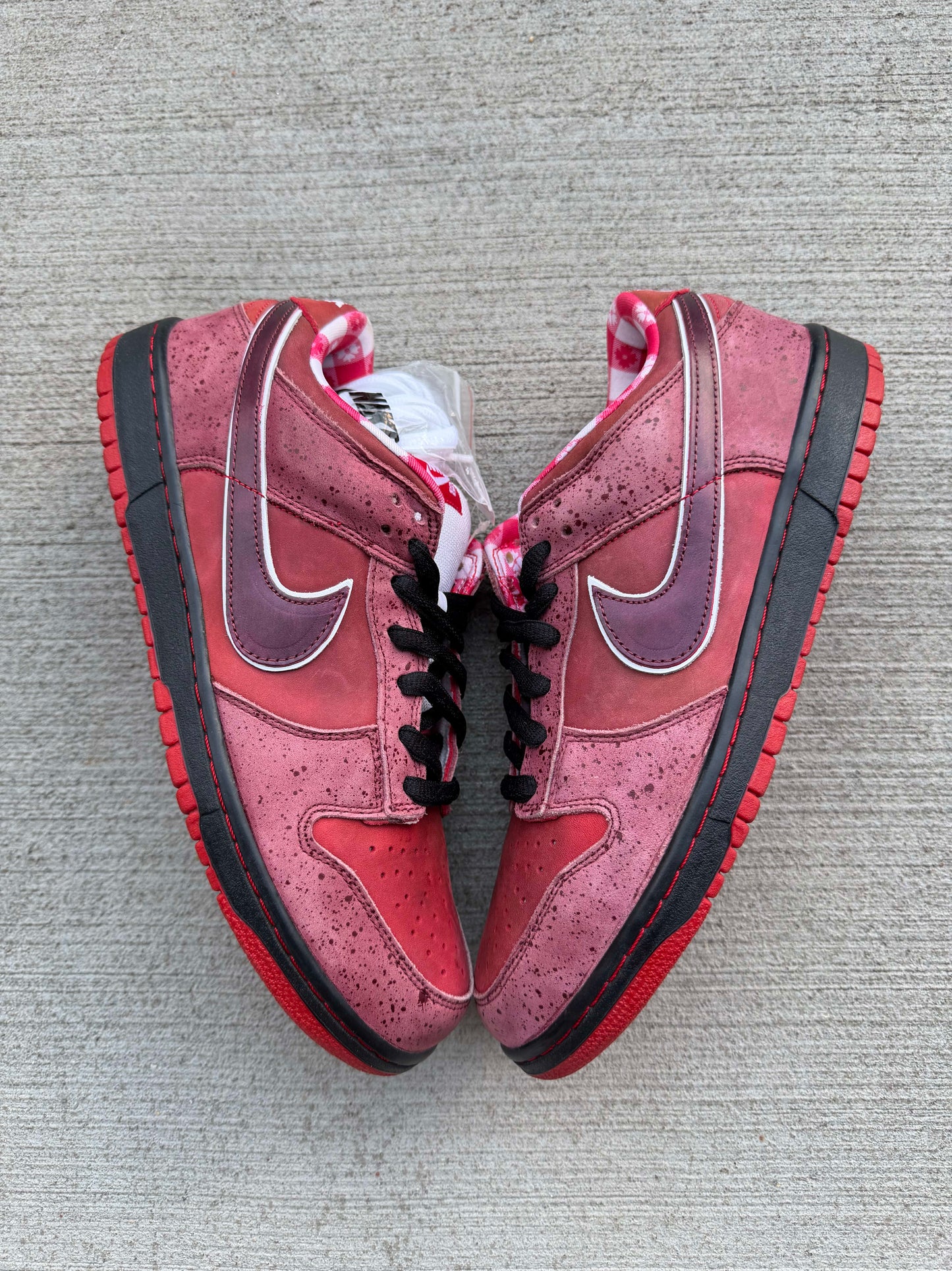 HY3356 Nike SB Dunk Low Concepts Red Lobster