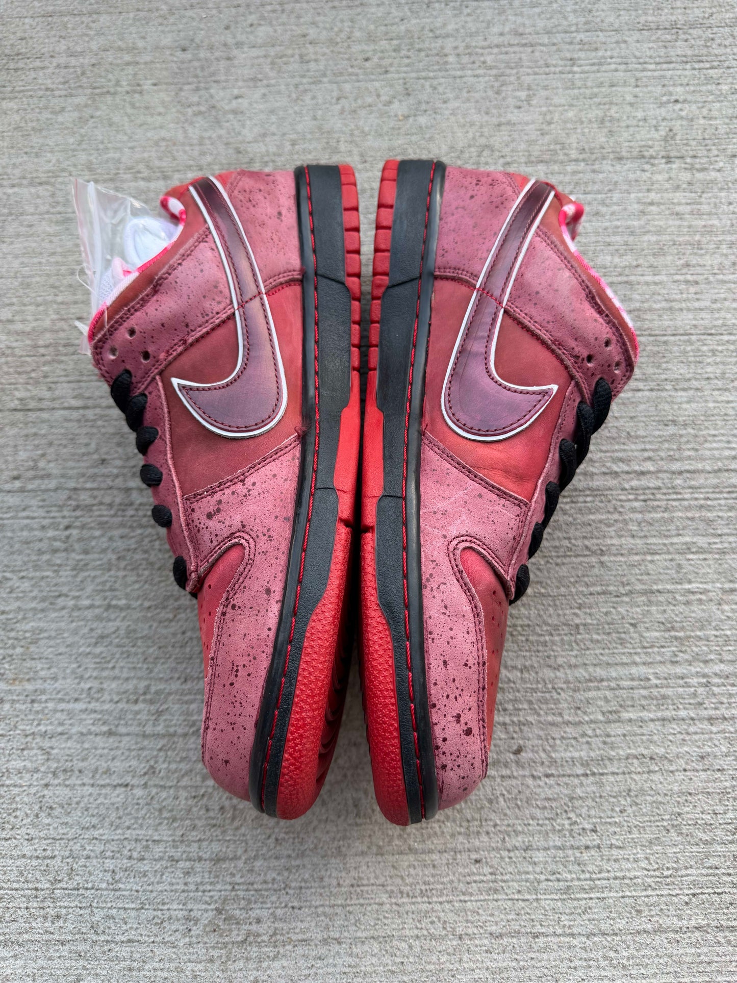 HY3356 Nike SB Dunk Low Concepts Red Lobster