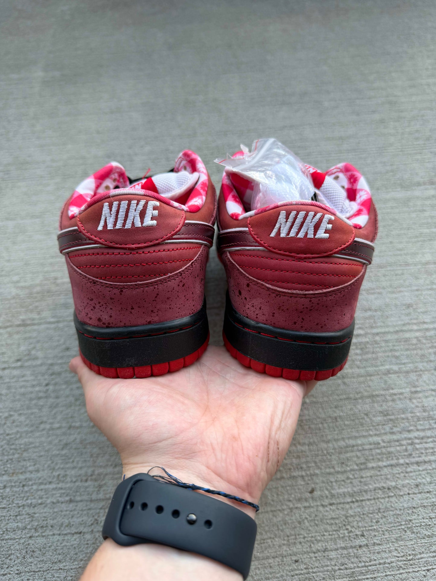 HY3356 Nike SB Dunk Low Concepts Red Lobster