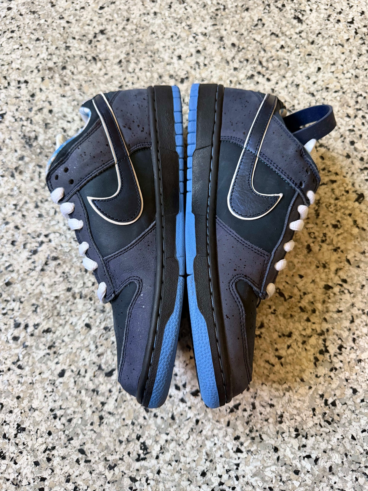 HY3372 Nike SB Dunk Low Concepts Blue Lobster