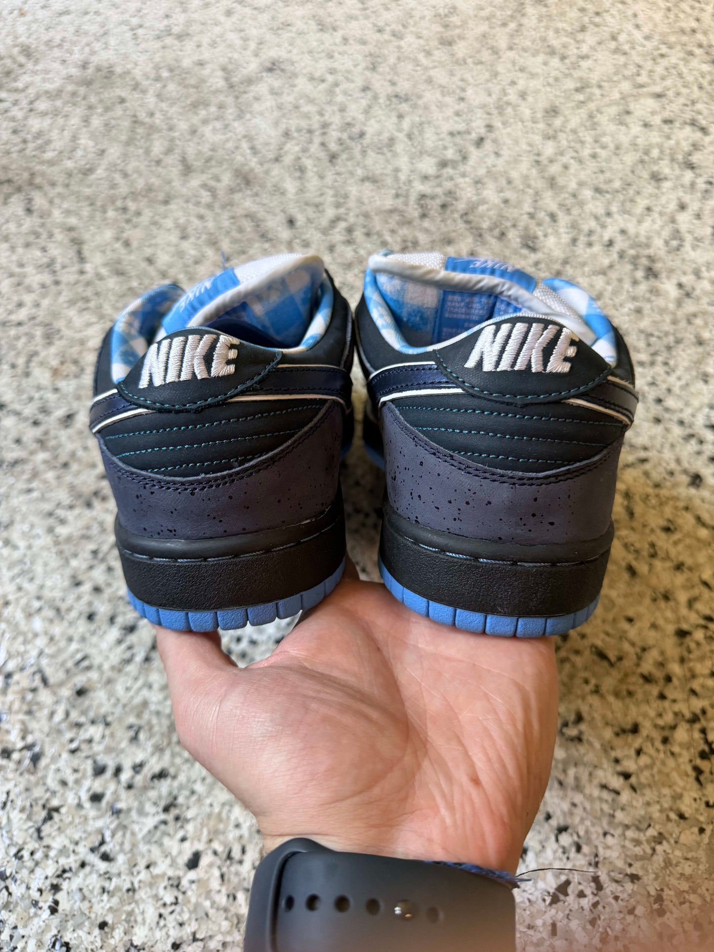 HY3372 Nike SB Dunk Low Concepts Blue Lobster