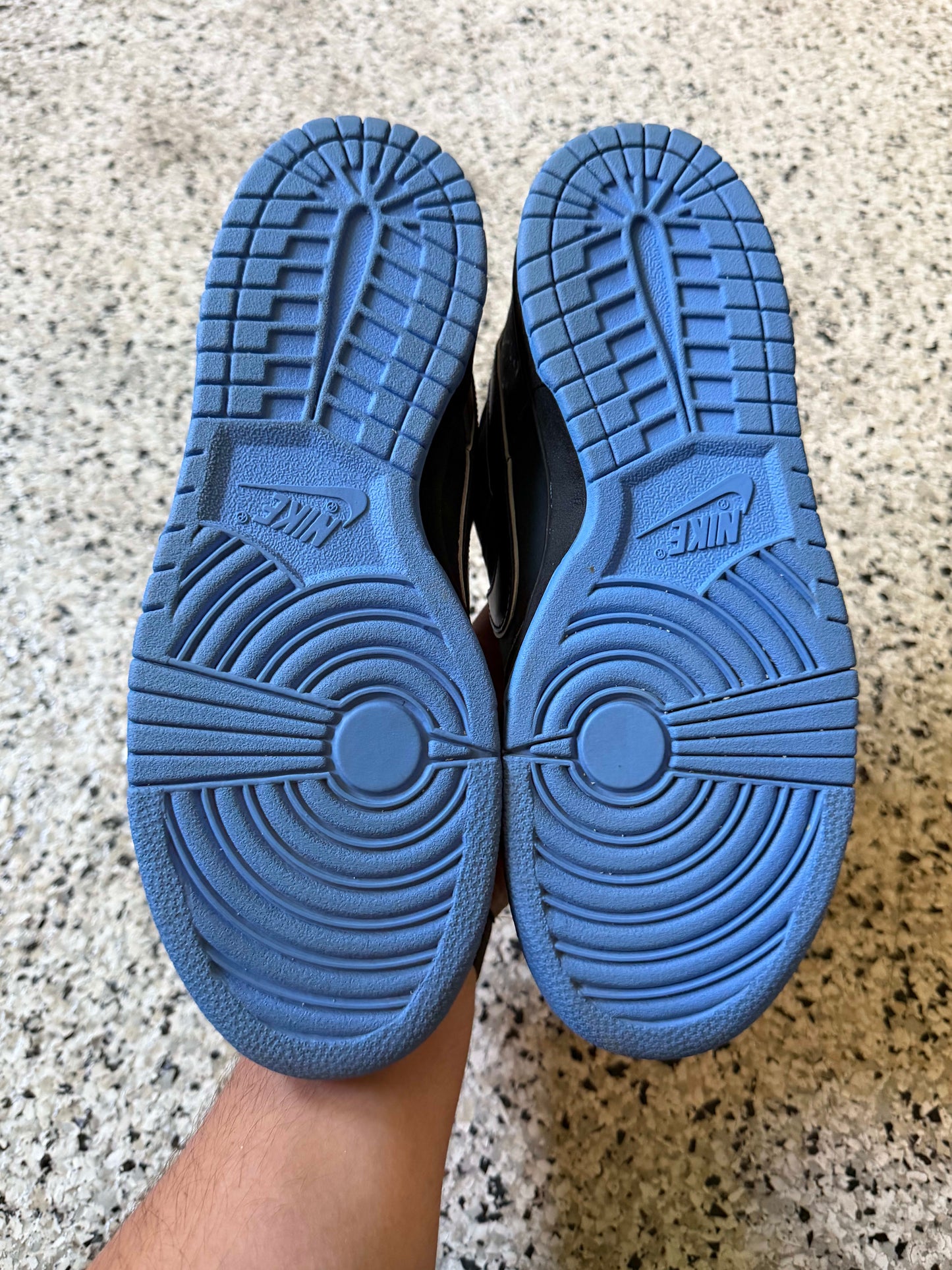 HY3372 Nike SB Dunk Low Concepts Blue Lobster
