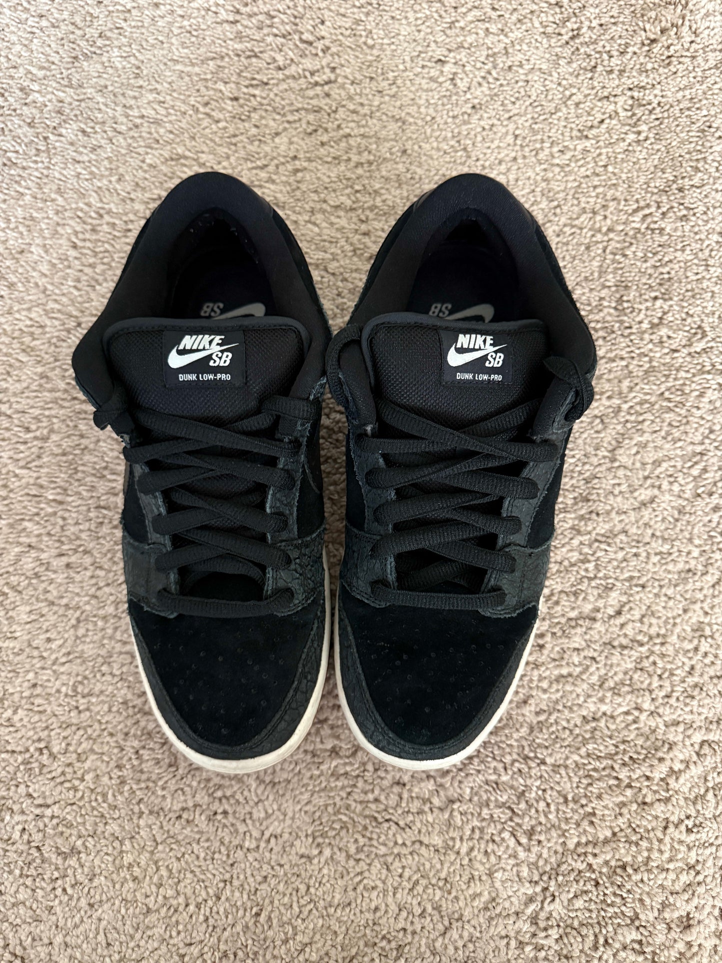 Size 9 Preowned Nike SB Dunk Low Nontourage