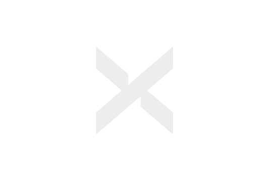 Nike SB Zoom Air E-Cue Reed