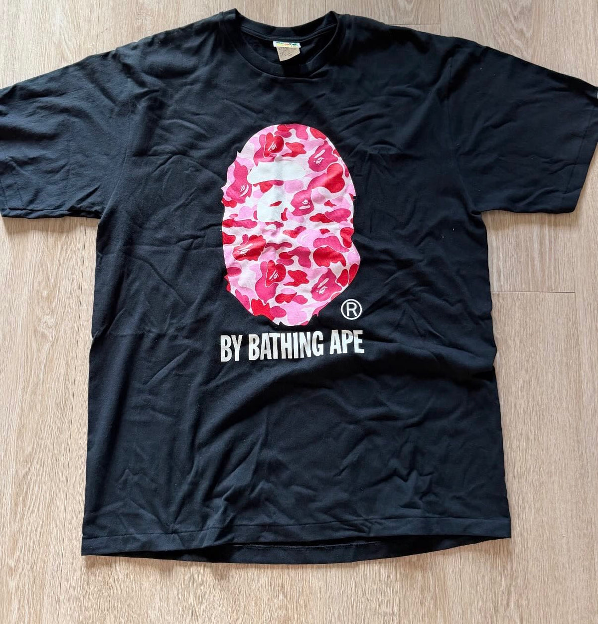 https://res.cloudinary.com/dlqdbsx2k/image/upload/v1790803652/blob_myg28f.jpg