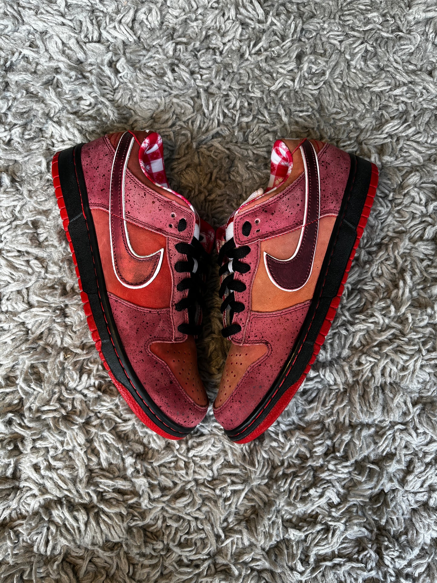 NIKE DUNK LOW PREMIUM SB x CNCPTS ‘Red Lobster’