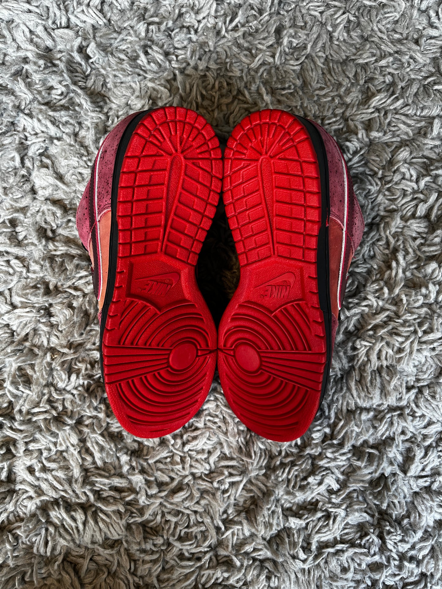 NIKE DUNK LOW PREMIUM SB x CNCPTS ‘Red Lobster’